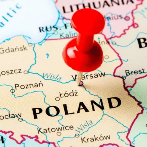 Polonya Vize Skandalı